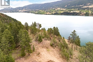 Proposed Lot 1 Old Mission Road - Photo 22