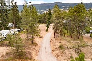 Proposed Lot 1 Old Mission Road - Photo 24