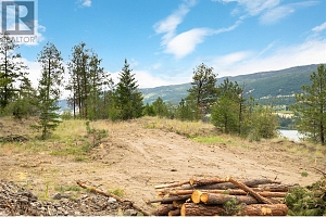 Proposed Lot 1 Old Mission Road - Photo 26