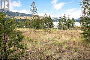 Proposed Lot 1 Old Mission Road - Photo 27