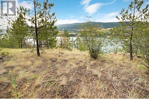 Proposed Lot 1 Old Mission Road - Photo 28