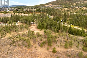 Proposed Lot 1 Old Mission Road - Photo 3