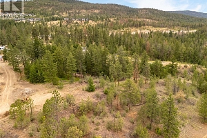 Proposed Lot 1 Old Mission Road - Photo 4