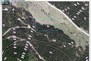 DL5135 Highway 33 E Highway - Photo 10