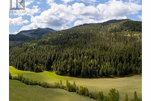 DL5135 Highway 33 E Highway - Photo 2