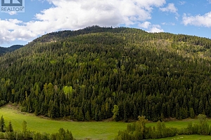 DL5135 Highway 33 E Highway - Photo 3