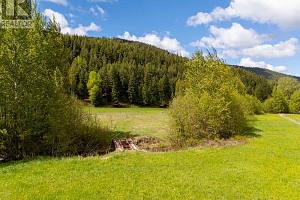 DL5135 Highway 33 E Highway - Photo 4