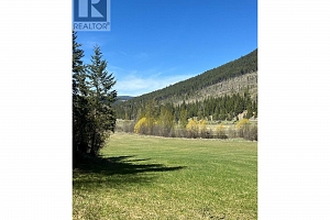 DL5135 Highway 33 E Highway - Photo 6