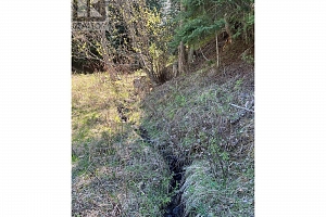 DL5135 Highway 33 E Highway - Photo 7