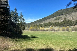 DL5135 Highway 33 E Highway - Photo 8