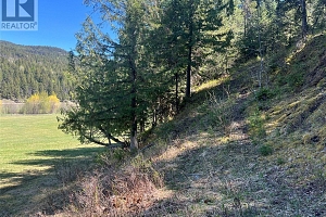 DL5135 Highway 33 E Highway - Photo 9