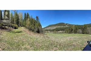 13375 Highway 33 E Highway - Photo 10