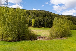 13375 Highway 33 E Highway - Photo 24