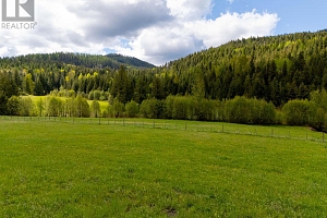 13375 Highway 33 E Highway - Photo 28