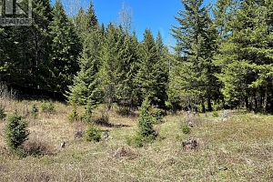 13375 Highway 33 E Highway - Photo 30