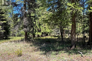 13375 Highway 33 E Highway - Photo 31