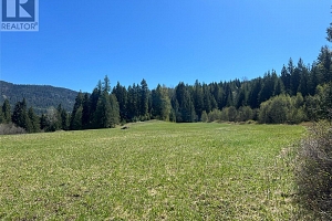 13375 Highway 33 E Highway - Photo 32