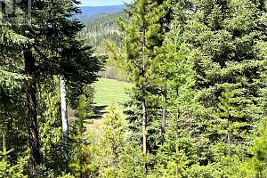 13375 Highway 33 E Highway - Photo 8