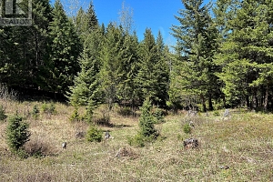 13375 Highway 33 E Highway - Photo 9