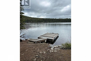 Block D Browne Lake Road - Photo 3