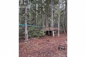 Block D Browne Lake Road - Photo 34