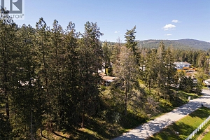 3021 McIver Road - Photo 53