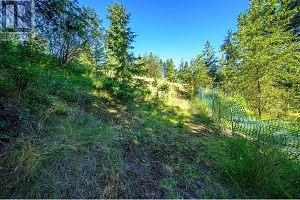 136 97B Highway - Photo 37