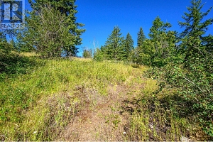 136 97B Highway - Photo 38