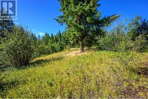 136 97B Highway - Photo 39