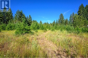 136 97B Highway - Photo 40