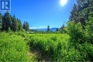 136 97B Highway - Photo 41