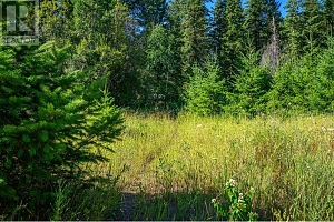 136 97B Highway - Photo 42