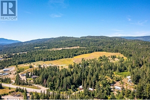 136 97B Highway - Photo 46