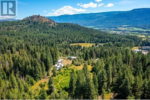 136 97B Highway - Photo 49