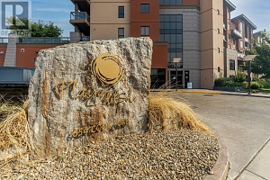 654 Cook Road Unit# 321 - Photo 24