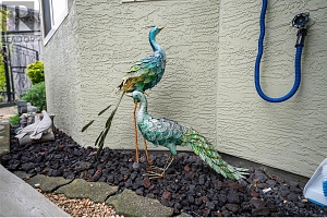 2595 Catherine Place Unit# 15 - Photo 89