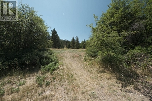 2615 Harvard Road - Photo 59