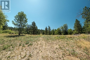 2615 Harvard Road - Photo 60