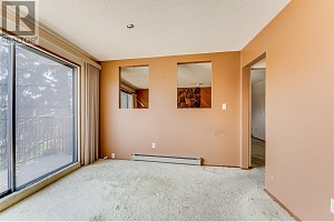 3800 38 Street - Photo 25