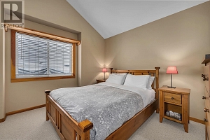 5015 Snowbird Way Unit# 28 - Photo 20