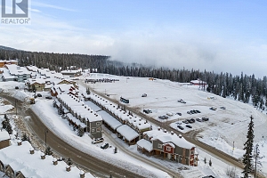 5015 Snowbird Way Unit# 28 - Photo 32