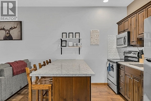 5015 Snowbird Way Unit# 28 - Photo 7