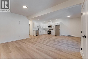 2736 Cedar Ridge Street - Photo 45