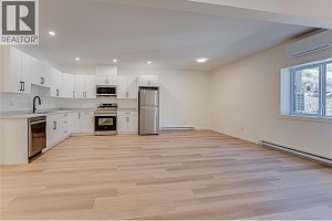 2736 Cedar Ridge Street - Photo 46