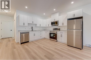 2736 Cedar Ridge Street - Photo 47