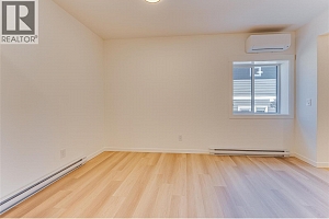2736 Cedar Ridge Street - Photo 51