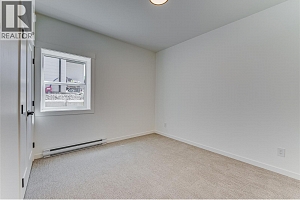 2736 Cedar Ridge Street - Photo 52