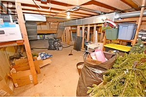 4184 Birch Drive - Photo 87