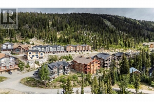 5895 Snow Pines Way Unit# 1 - Photo 27