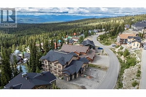 5895 Snow Pines Way Unit# 1 - Photo 29